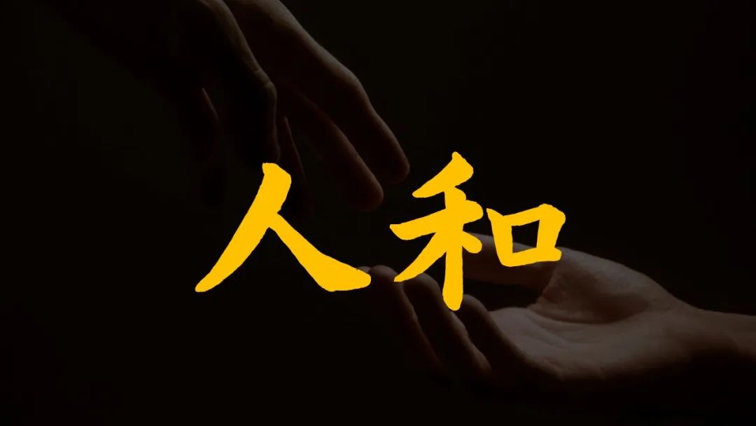 1668391089246491.jpg 6.jpg