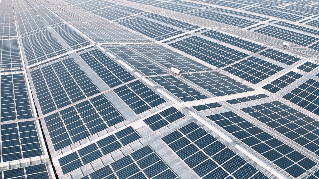 1677144222839966.png 圖片 4.png