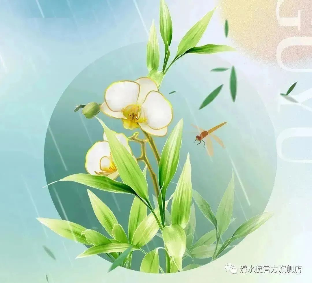 1684486489150993.jpg 640 (1).jpg