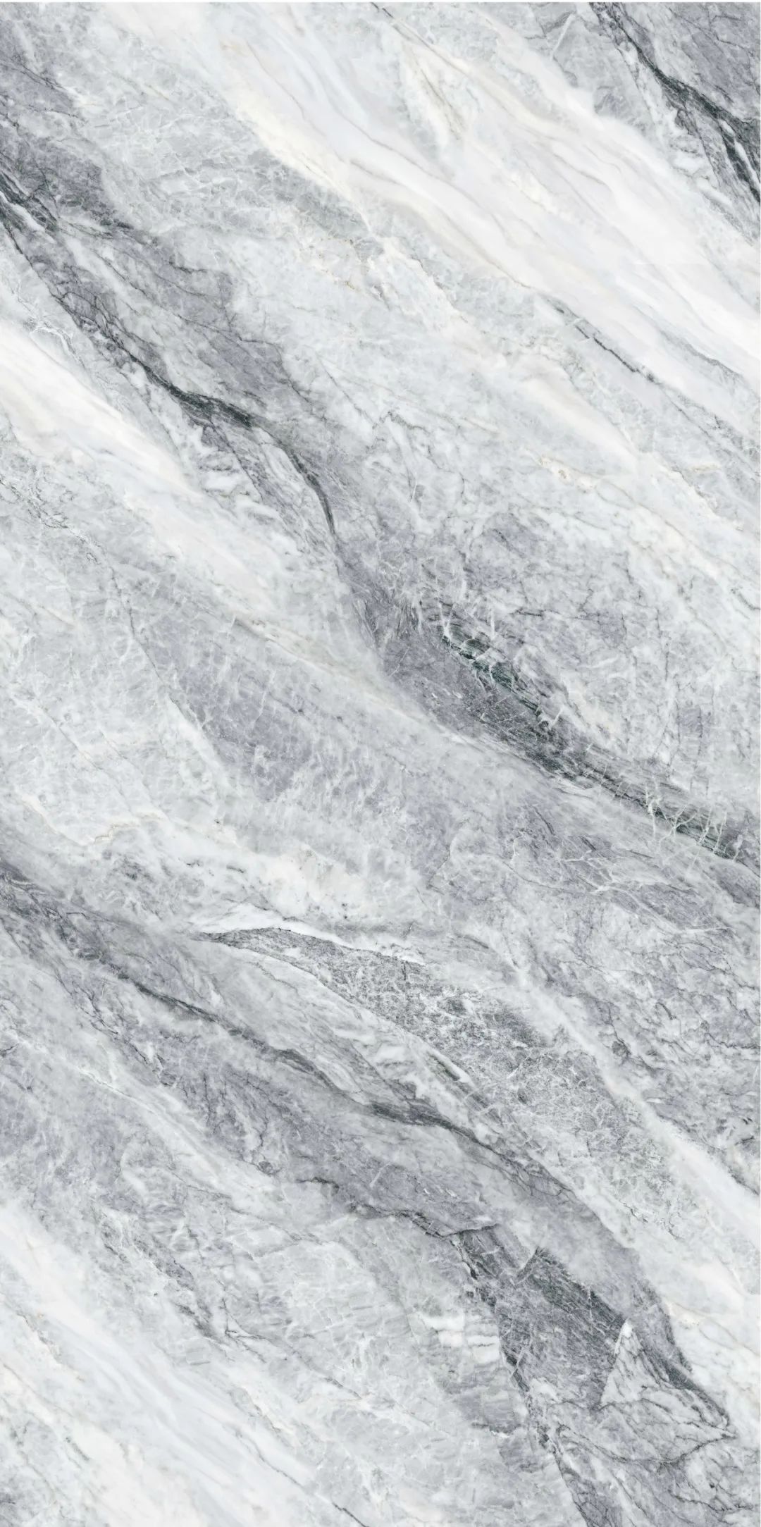 1693795602812783.jpg 6.jpg