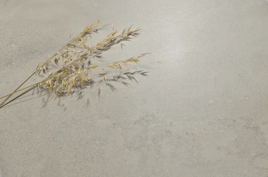 1697616562398609.jpg 30.jpg