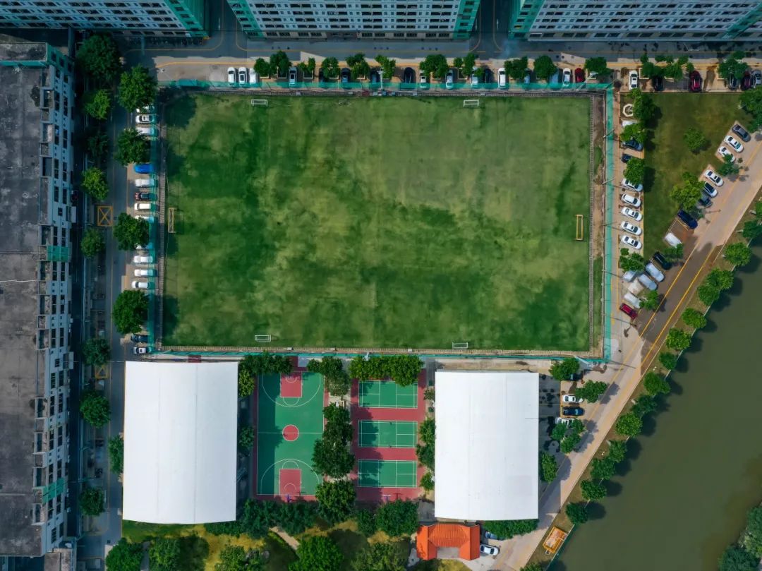 1699426069677779.jpg 4.jpg