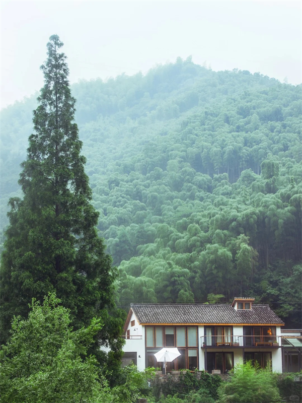 1748682616738821.png 圖片 15.png